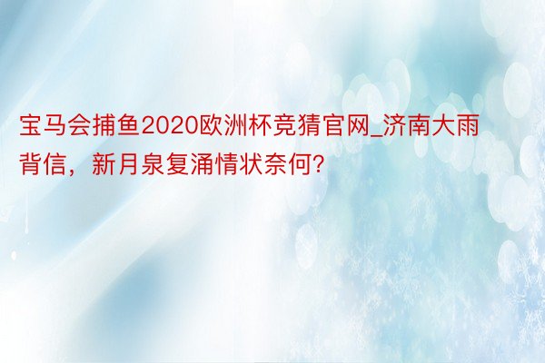 宝马会捕鱼2020欧洲杯竞猜官网_济南大雨背信，新月泉复涌情状奈何？